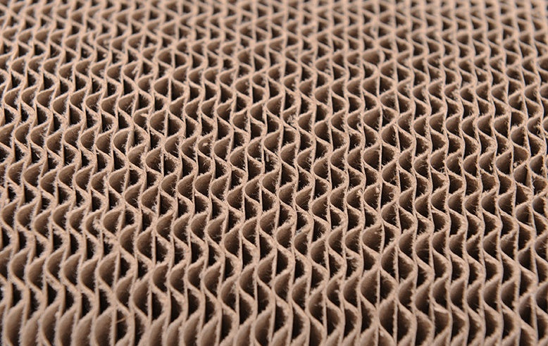 Cat scratching board