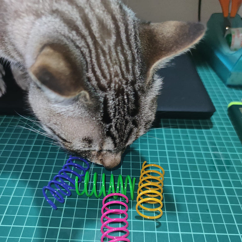Colorful Cat Spring Toy